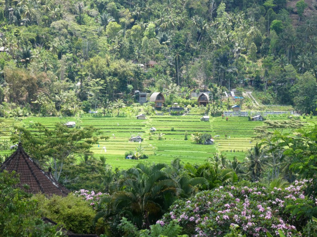 Bali : magnifiques paysages